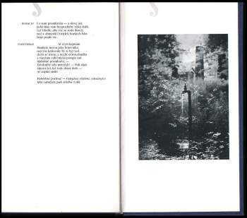 William Shakespeare: Hamlet, králevic dánský