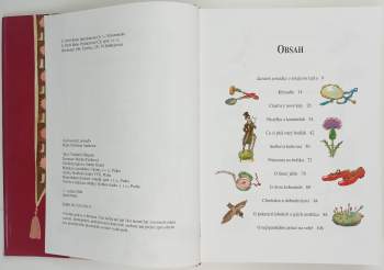 Hans Christian Andersen: Hans Christian Andersen - nejkrásnější pohádky