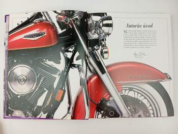 Hugo Wilson: Harley-Davidson