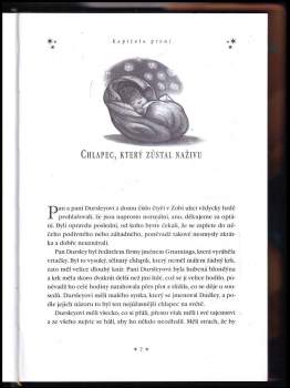 J. K Rowling: Harry Potter a kámen mudrců