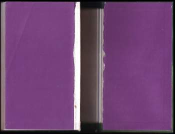 J. K Rowling: Harry Potter a princ dvojí krve