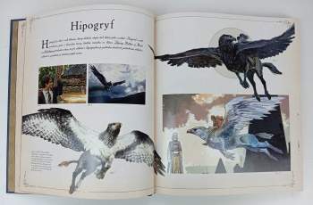 Jody Revenson: Harry Potter