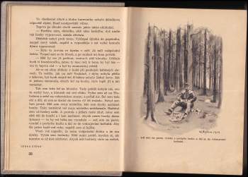 František Zpěvák: Havíři