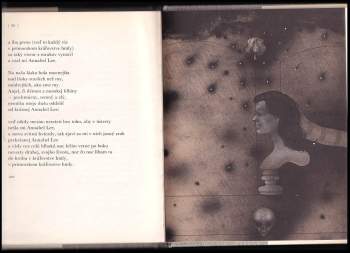 Edgar Allan Poe: Havran a iné básne