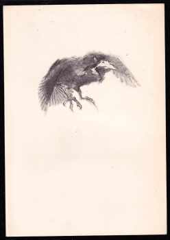 Edgar Allan Poe: The Raven
