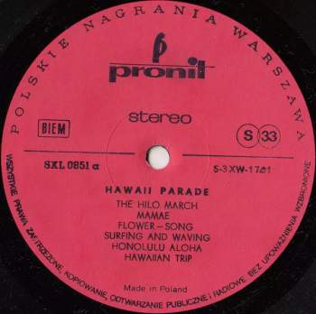 Jackie Sprangers: Hawaii Parade