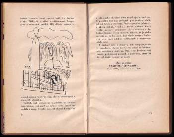 Karel Poláček: Hedvika a Ludvík