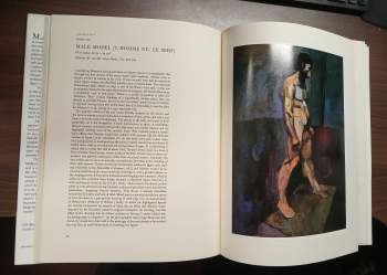 John M. Jacobus: Henri Matisse