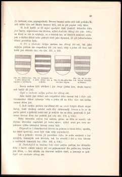 Vojtěch Král z Dobré Vody: Heraldika - souhrn pravidel a předpisův znakových - 420 stran textu + 42 krásných tabulí s erby