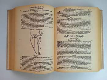 Pietro Andrea Mattioli: Herbář aneb Bylinář doktora Petra Ondřeje Mathiola + sv. II.