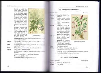 František Kabelák: Herbář hermetikův