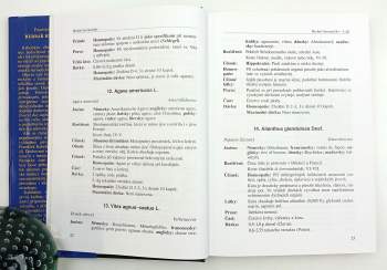 František Kabelák: Herbář hermetikův