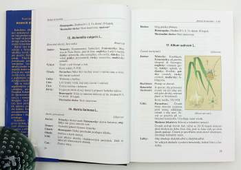 František Kabelák: Herbář hermetikův