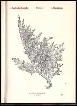 Pietro Andrea Mattioli: Herbář