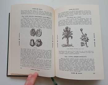 Pietro Andrea Mattioli: Herbář, neboli, Bylinář