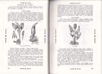 Pietro Andrea Mattioli: Herbář, neboli, Bylinář