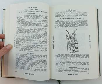 Pietro Andrea Mattioli: Herbář, neboli, Bylinář