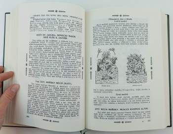 Pietro Andrea Mattioli: Herbář, neboli, Bylinář