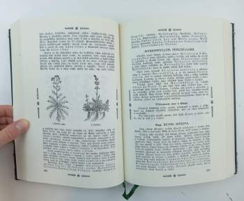 Pietro Andrea Mattioli: Herbář, neboli, Bylinář