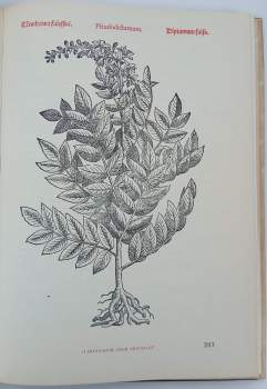 Pietro Andrea Mattioli: Herbář