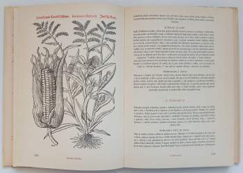 Pietro Andrea Mattioli: Herbář