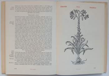 Pietro Andrea Mattioli: Herbář