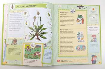 Oldřich Růžička: Herbář pro děti