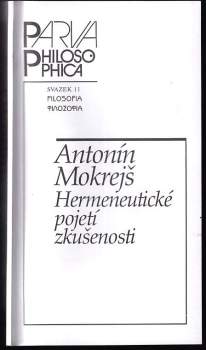 Hermeneutické pojetí zkušenosti