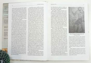 Hermetismus