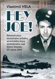 Hey Joe!
