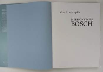 Gary Schwartz: Hieronymus Bosch