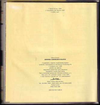 Steve Turner: Hipster s andělskou hlavou