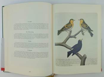 François-Nicolas Martinet: Histoire Des Oiseaux - A History Of Birds