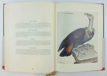 François-Nicolas Martinet: Histoire Des Oiseaux - A History Of Birds