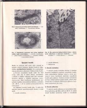 Eduard Klika: Histologie