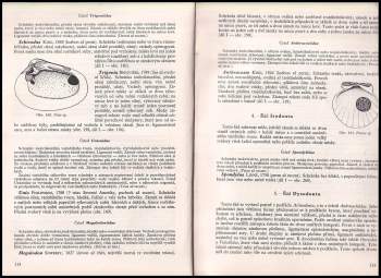 Josef Dvořák: Historická geologie
