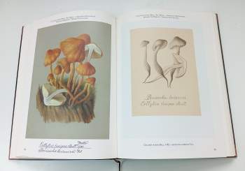 František Tyttl: Historický atlas hub