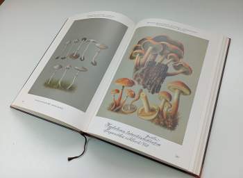 František Tyttl: Historický atlas hub