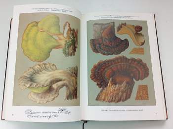 František Tyttl: Historický atlas hub