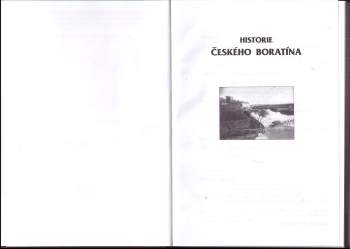 Anna Vlková: Historie českého Boratína