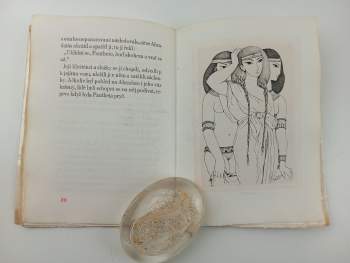 Xenofón: Historie krásné Pantheie