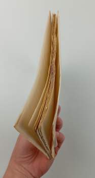 Xenofón: Historie krásné Pantheie