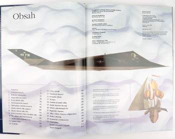 Riccardo Niccoli: Historie letectví