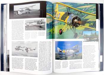 Riccardo Niccoli: Historie letectví