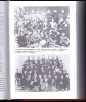 Alan Bullock: Hitler a Stalin