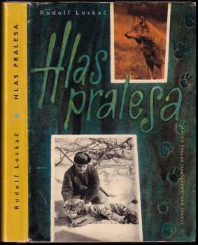 Hlas pralesa