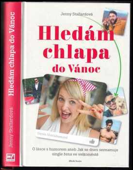 Hledám chlapa do Vánoc