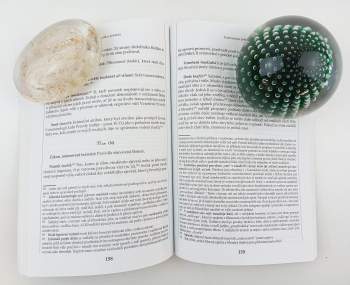 Bronislav Ostřanský: Hledání skrytého pokladu