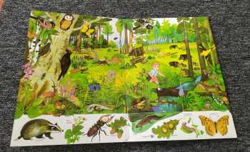 Marie Tichá: Hledej s Bětkou