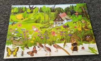 Marie Tichá: Hledej s Bětkou